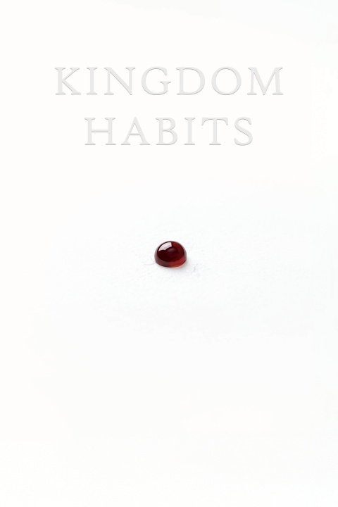 Βιβλίο The Kingdom Habits Scott Donnell