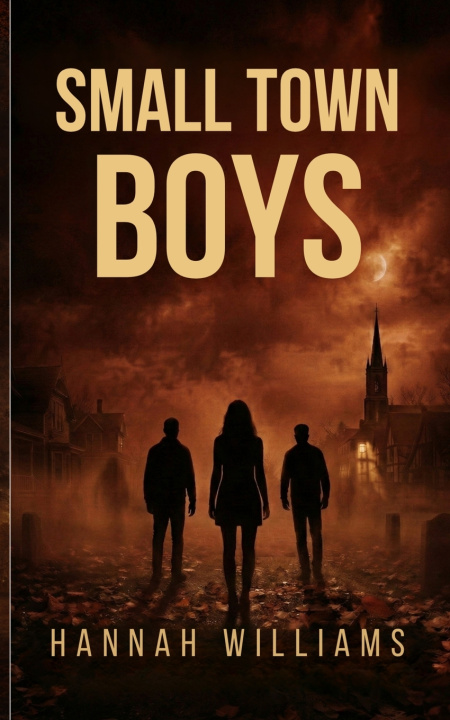 Book Small Town Boys Hannah Williams