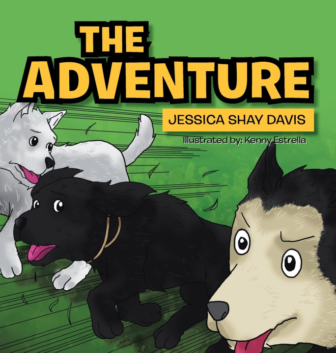 Knjiga THE ADVENTURE Jessica Shay Davis