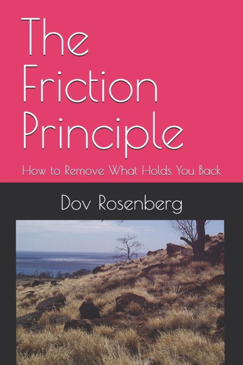 Buch The Friction Principle Dov Rosenberg