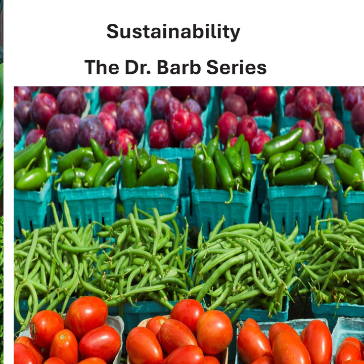 Knjiga Sustainability Dr. Barb
