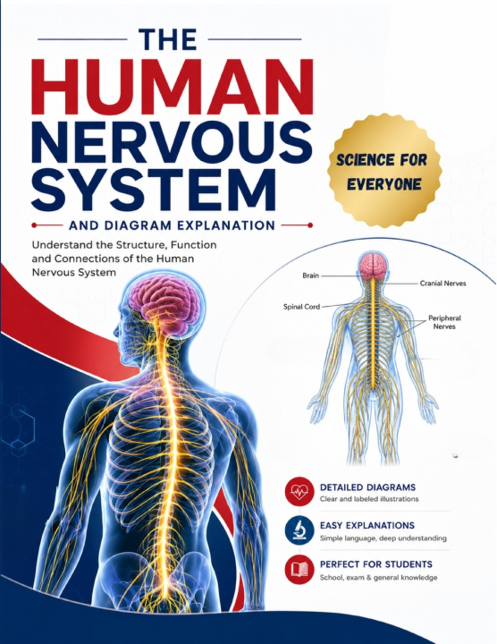 Könyv The Human Nervous System and Diagram Explanation ANURADHIKA LAKMALI