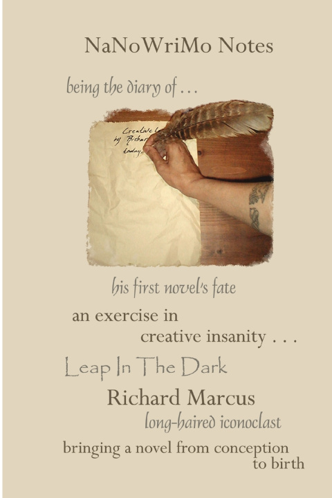 Boek NaNoWriMo Notes Richard Marcus