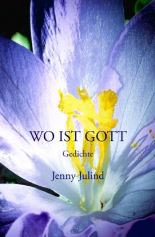 Buch Wo ist Gott Jenny Julind