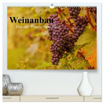 Kalender/Terminbuch Weinanbau. Von der Traube zum Wein (hochwertiger Premium Wandkalender 2027 DIN A2 quer), Kunstdruck in Hochglanz Calvendo