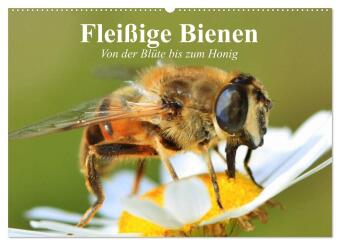 Kalender/agenda Fleißige Bienen. Von der Blüte bis zum Honig (Wandkalender 2027 DIN A2 quer), CALVENDO Monatskalender Calvendo