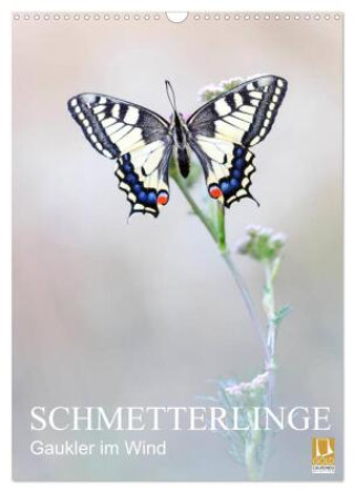Kalender/Terminbuch Schmetterlinge - Gaukler im Wind (Wandkalender 2027 DIN A3 hoch), CALVENDO Monatskalender Calvendo