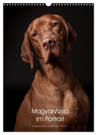 Naptár/Határidőnapló Magyar Vizsla im Portrait (Wandkalender 2027 DIN A3 hoch), CALVENDO Monatskalender Calvendo