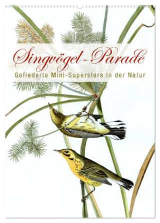 Kalender/Terminbuch Singvögel-Parade (Wandkalender 2027 DIN A2 hoch), CALVENDO Monatskalender Calvendo