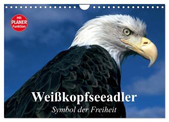 Kalender/Terminbuch Weißkopfseeadler. Symbol der Freiheit (Wandkalender 2027 DIN A4 quer), CALVENDO Monatskalender Calvendo