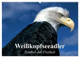 Calendario/Agenda Weißkopfseeadler. Symbol der Freiheit (Wandkalender 2027 DIN A2 quer), CALVENDO Monatskalender Calvendo