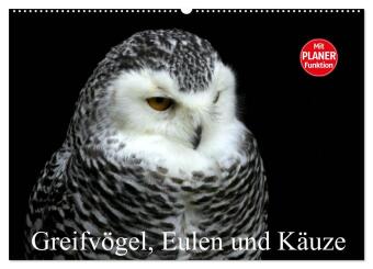 Kalender/Terminbuch Greifvögel, Eulen und Käuze (Wandkalender 2027 DIN A2 quer), CALVENDO Monatskalender Calvendo