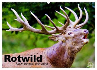 Kalender/Terminbuch Rotwild. Edle Hirsche, stolze Kühe (Wandkalender 2027 DIN A2 quer), CALVENDO Monatskalender Calvendo