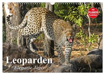 Kalender/agenda Leoparden. Elegante Jäger (Wandkalender 2027 DIN A3 quer), CALVENDO Monatskalender Calvendo