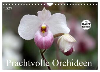 Kalender/Terminbuch Prachtvolle Orchideen (Wandkalender 2027 DIN A4 quer), CALVENDO Monatskalender Calvendo