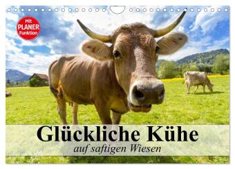 Kalendár/Diár Glückliche Kühe auf saftigen Wiesen (Wandkalender 2027 DIN A4 quer), CALVENDO Monatskalender Calvendo