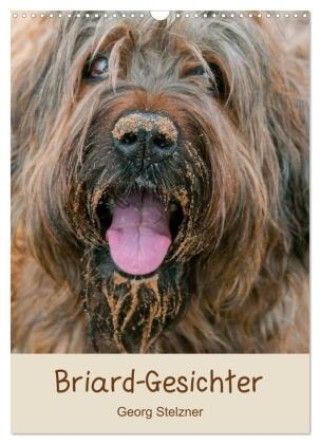Kalendár/Diár Briard-Gesichter (Wandkalender 2027 DIN A3 hoch), CALVENDO Monatskalender Calvendo