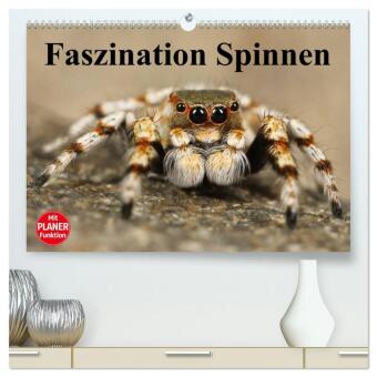 Kalender/Terminbuch Faszination Spinnen (hochwertiger Premium Wandkalender 2027 DIN A2 quer), Kunstdruck in Hochglanz Calvendo