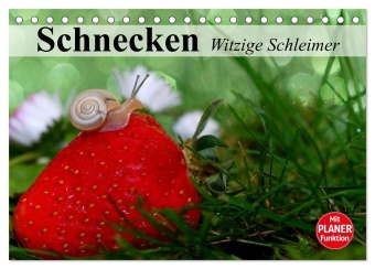 Kalendár/Diár Schnecken. Witzige Schleimer (Tischkalender 2027 DIN A5 quer), CALVENDO Monatskalender Calvendo