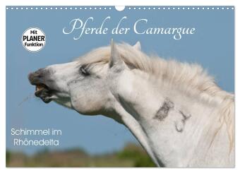 Kalender/Terminbuch Pferde der Camargue - Schimmel im Rhônedelta (Wandkalender 2027 DIN A3 quer), CALVENDO Monatskalender Calvendo