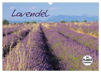 Naptár/Határidőnapló Lavendel (Wandkalender 2027 DIN A3 quer), CALVENDO Monatskalender Calvendo