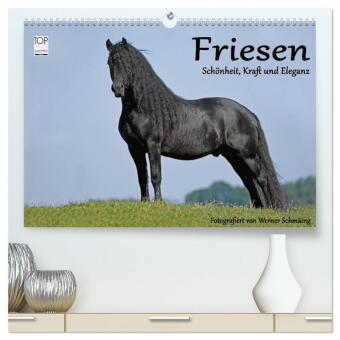 Naptár/Határidőnapló Friesen - Schönheit, Kraft und Eleganz (hochwertiger Premium Wandkalender 2027 DIN A2 quer), Kunstdruck in Hochglanz Calvendo