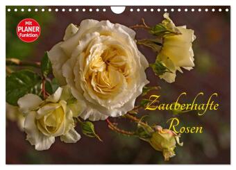 Kalender/Terminbuch Zauberhafte Rosen (Wandkalender 2027 DIN A4 quer), CALVENDO Monatskalender Calvendo