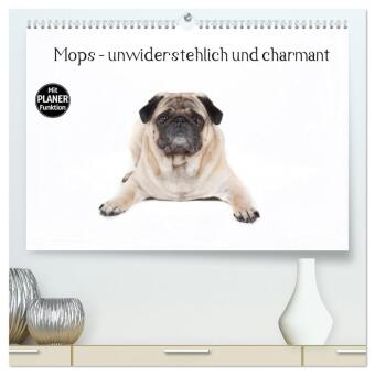 Kalendář/Diář Mops - unwiderstehlich und charmant (hochwertiger Premium Wandkalender 2027 DIN A2 quer), Kunstdruck in Hochglanz Calvendo