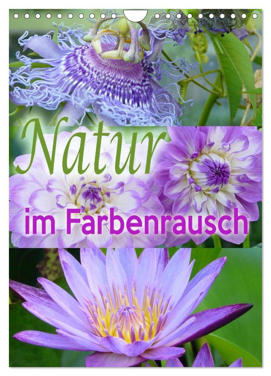 Kalendár/Diár Natur im Farbenrausch (Wandkalender 2027 DIN A4 hoch), CALVENDO Monatskalender Calvendo