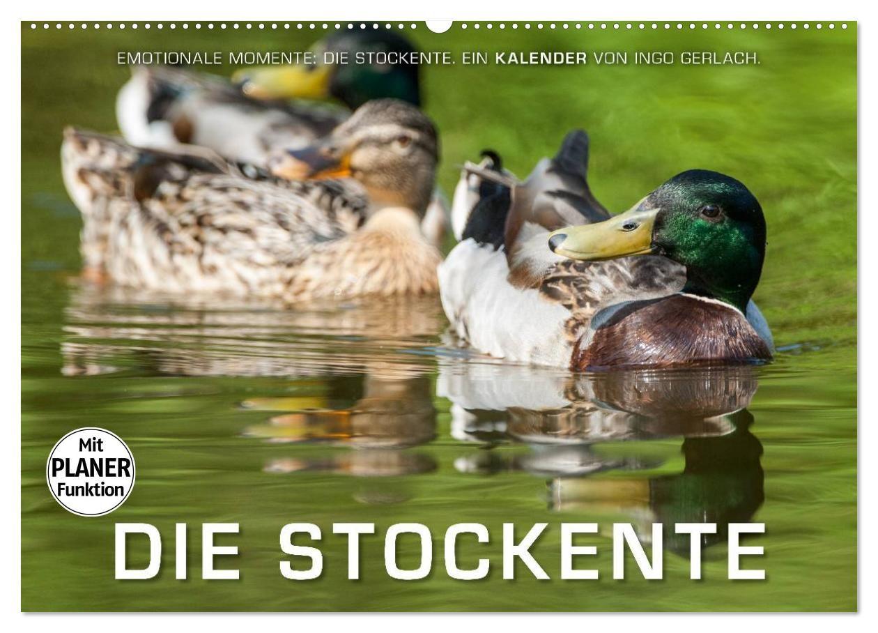 Naptár/Határidőnapló Emotionale Momente: Die Stockente. (Wandkalender 2027 DIN A2 quer), CALVENDO Monatskalender Calvendo