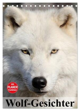Kalender/Terminbuch Wolf-Gesichter (Tischkalender 2027 DIN A5 hoch), CALVENDO Monatskalender Calvendo