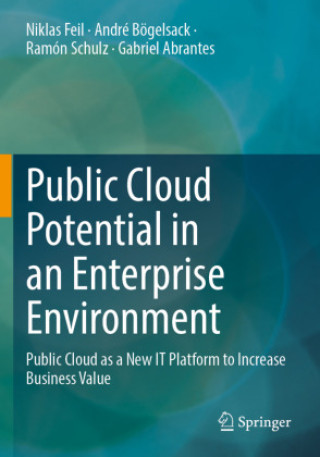 Kniha Public Cloud Potential in an Enterprise Environment Niklas Feil