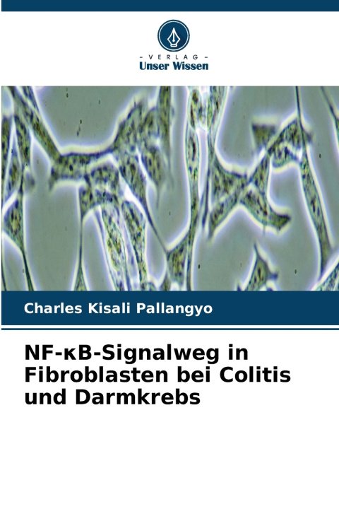 Buch NF-κB-Signalweg in Fibroblasten bei Colitis und Darmkrebs Charles Kisali Pallangyo