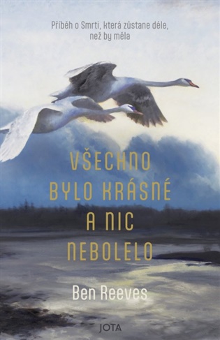 Buch Všechno bylo krásné a nic nebolelo Ben Reeves