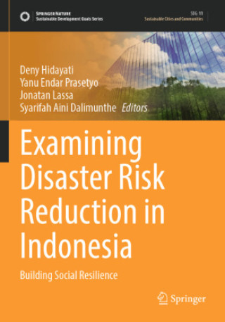 Buch Examining Disaster Risk Reduction in Indonesia Deny Hidayati