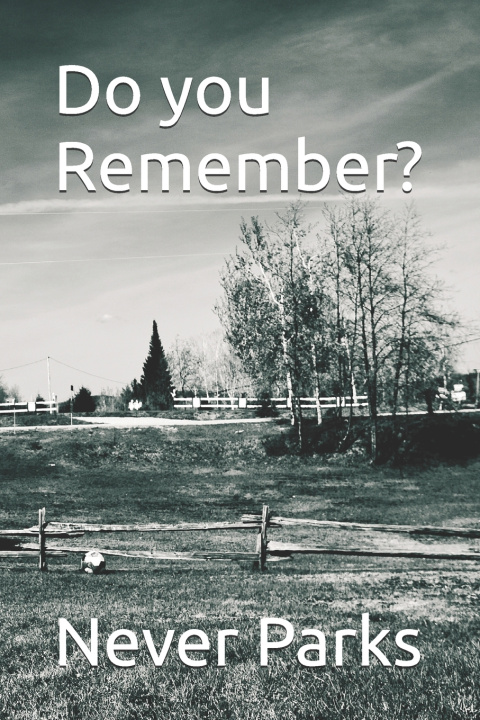 Libro Do you Remember? Never Parks
