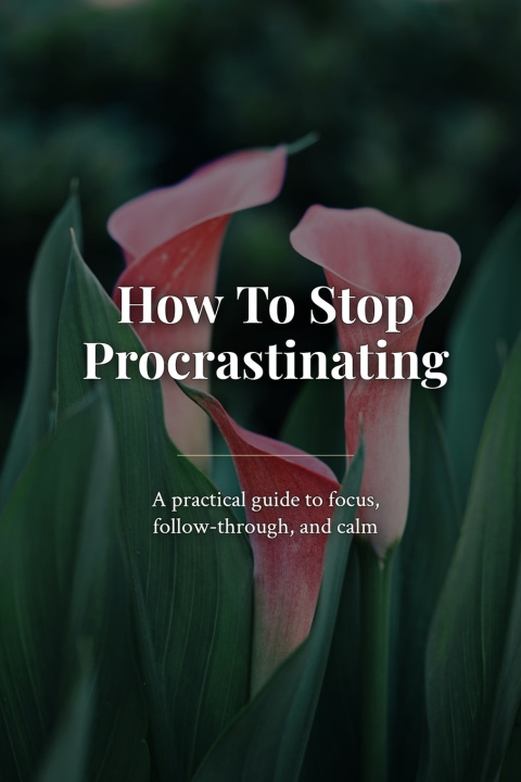 Kniha How To Stop Procastinating Marcus Cross