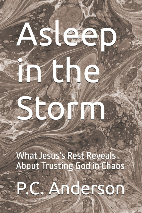 Libro Asleep in the Storm P.C. Anderson