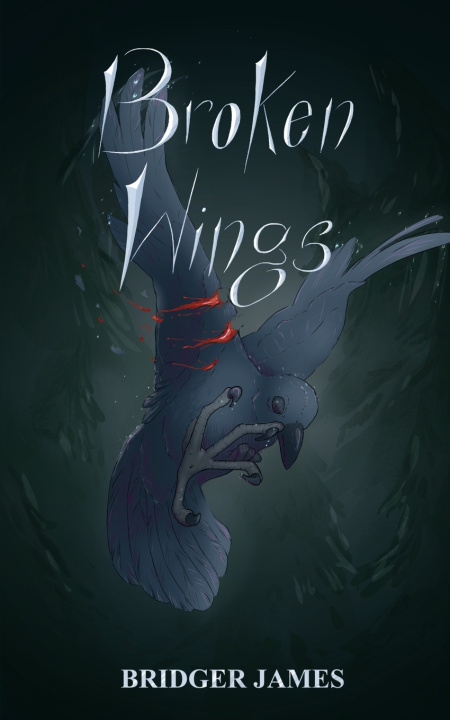 Knjiga Broken Wings Bridger James