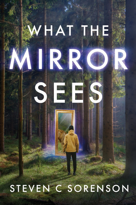 Libro What the Mirror Sees Steven C Sorenson