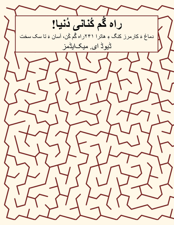 Knjiga راه گُم کُنانی دُنیا! David E. McAdams