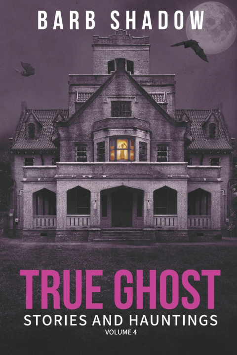 Könyv True Ghost Stories and Hauntings, Volume 4 Barb Shadow