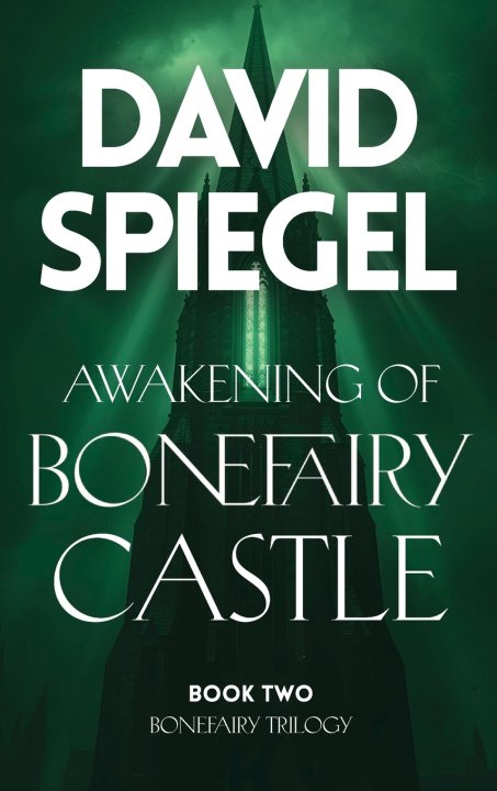 Könyv Awakening of Bonefairy Castle David Spiegel