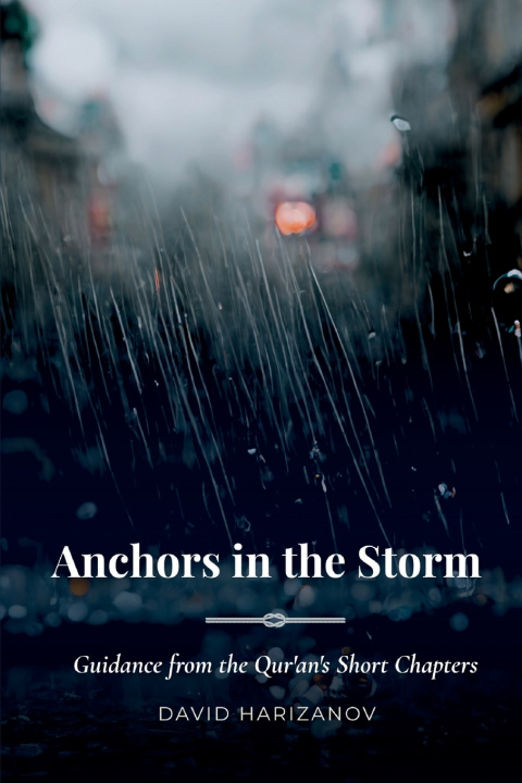 Buch Anchors in the Storm David Harizanov