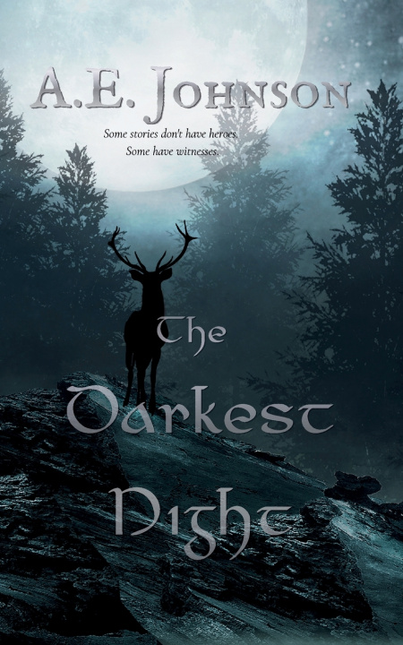 Kniha The Darkest Night A. E. Johnson