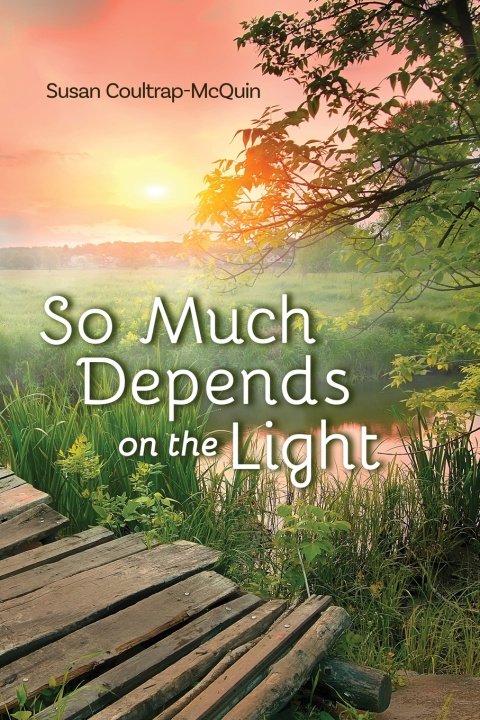 Libro So Much Depends on the Light Susan Coultrap-McQuin