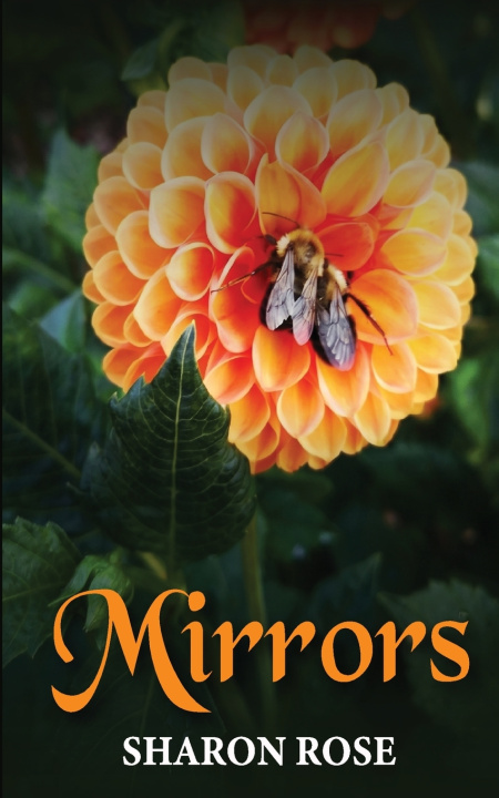 Knjiga Mirrors Sharon Rose