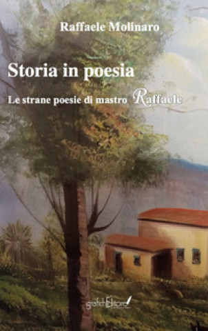 Libro Storia in poesia. Le strane poesie di mastro Raffaele Raffaele Molinaro