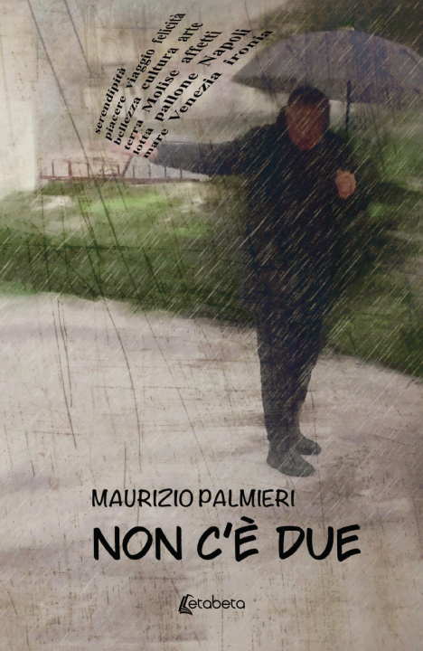 Kniha Non c'è due Maurizio Palmieri