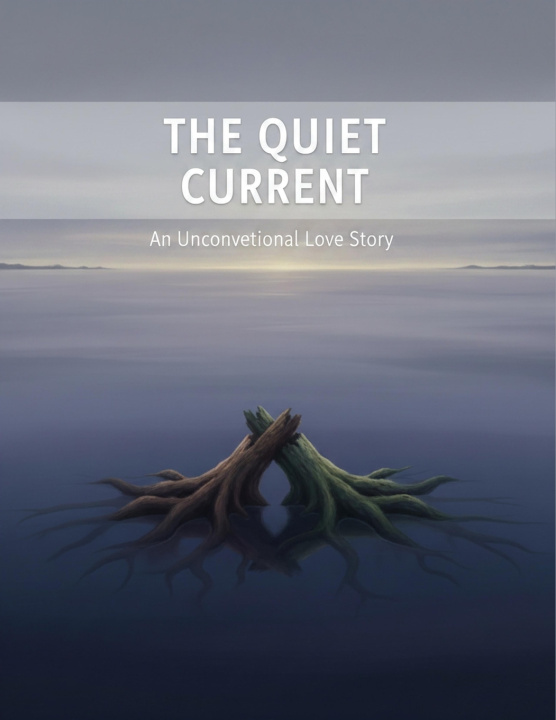 Könyv The Quiet Current Ana Cabrera